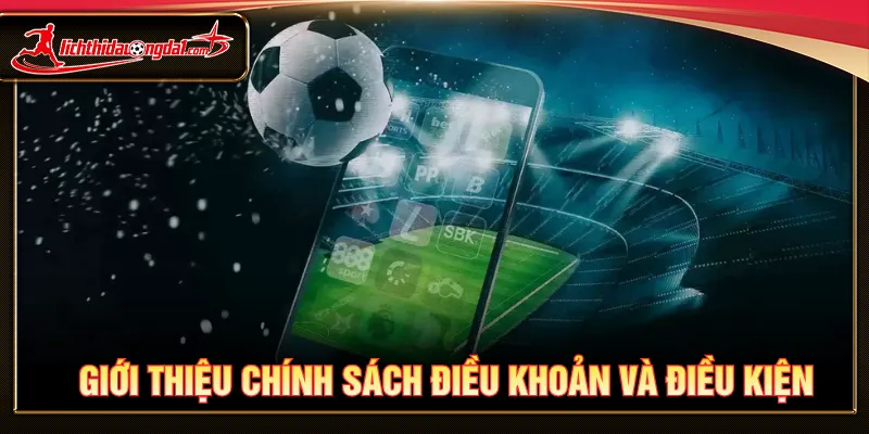 Điều khoản và điều kiện giúp duy trì sân chơi được ổn định